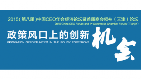 政策风口上的创新机会 新常态下企业转型之道-2015中国ceo年会经济